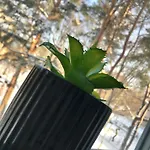 Apartmán Apetyt Na Z Prywatna Sauna