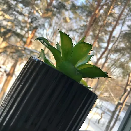 Apartment Apetyt Na Z Prywatna Sauna