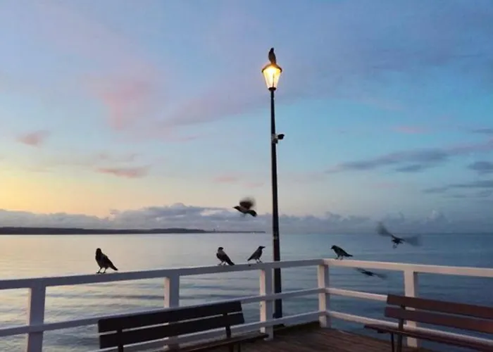 Apetyt Na Z Prywatna Sauna Apartment